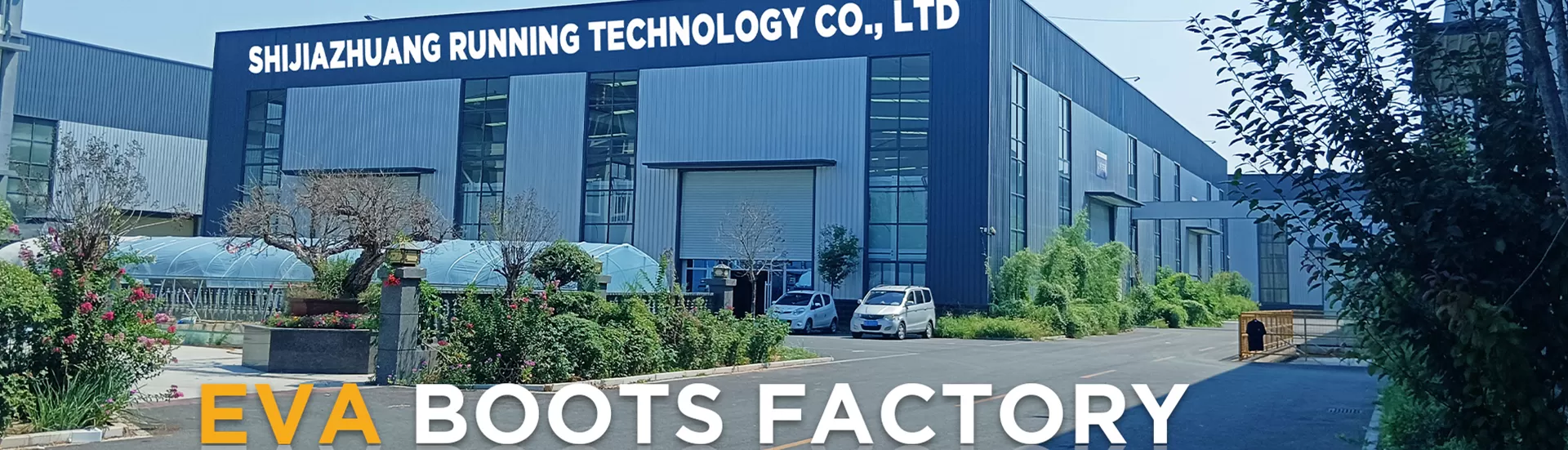 Company profile
