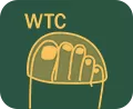 TOE PROTECTION